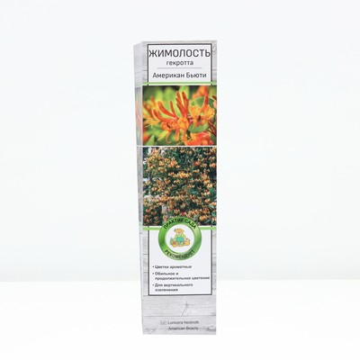 Жимолость Гекротта Американ Бьюти 1 шт., туба, Весна 2026