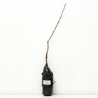 Яблоня декоративная "Рудольф ", 1 шт, туба, Весна 2024 9581561 - фото 8293367