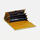 Кошелёк женский на магнитах, цвет зелёный - фото 22108571