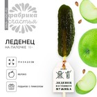 Леденец «Настоящего мужика» огурец, вкус: яблоко, 43 г. 9395817 - фото 9750797