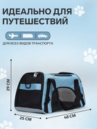 Сумка-переноска сетчатая, 48×25×29 см, голубая - Фото 2