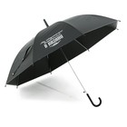 Зонт-трость полуавтомат «Мы обязательно встретимся в Казани», цвет черный, 8 спиц, R = 45 см - фото 9276519