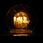 Лампа светодиодная, 6 LED, G45, Е27, 1 Вт, для белт-лайта, набор 10 шт., свечение тёплое белое - Фото 2