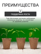 Набор для рассады: торфяной горшок 6?6 см, кассета на 6 ячеек, 17.5?13.5 см, Greengo (комплект 6 шт) - фото 24317669