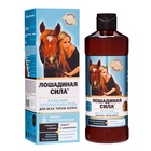 Бальзам-ополаскиватель Лошадиная сила Биоактивный с коллагеном и провитамином В5, 500 мл - Фото 1