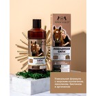 Шампунь-кондиционер Лошадиная сила с коллагеном и ланолином, 500 мл - Фото 2