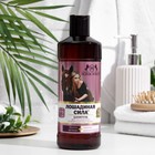 Шампунь Лошадиная сила для окрашенных и поврежденных волос с коллагеном, ланолином, биотином, 500 мл - Фото 7