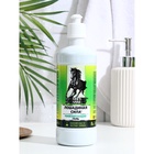 Гель для вен Лошадиная сила с каштаном и пиявкой, 500 мл - Фото 2