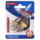 Выключатель для настенного светильника Rexant 06-0242-A, цвет серебристый - фото 300953297