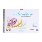 Альбом для рисования А4, 30 листов, блок 120 г/м², на спирали, Erich Krause "Birds", пластиковая обложка, 100% белизна, твердая подложка - фото 24609394