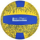 Мяч волейбольный MINSA, PU, машинная сшивка, 18 панелей, р. 5 - фото 3894235