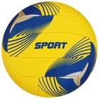 Мяч волейбольный MINSA, PU, машинная сшивка, 18 панелей, р. 5, цвета МИКС - фото 4074332
