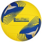 Мяч волейбольный MINSA, PU, машинная сшивка, 18 панелей, р. 5, цвета МИКС - фото 4074333