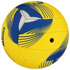 Мяч волейбольный MINSA, PU, машинная сшивка, 18 панелей, р. 5, цвета МИКС - Фото 8