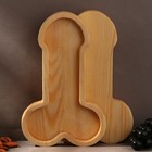 Блюдо для подачи «Светлая», 20 х 12,5 см - фото 22112382