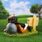Садовая фигура из полистоуна «Собака Барри лежачая - Только для друзей», 47×22×26 см - Фото 3