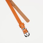 Ремень женский, ширина 1.2 см, винт, пряжка металл, цвет оранжевый - фото 22113210