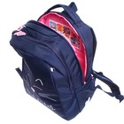 Рюкзак школьный, 39 х 26 х 17 см, Grizzly 366, эргономичная спинка, синий RG-366-4_2 - Фото 9