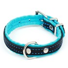 Ошейник кожаный с подкладом "Фетр", 1,6 см, ОШ 20-28 см, чёрный/голубой - фото 24478444