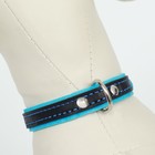 Ошейник кожаный с подкладом "Фетр", 1,6 см, ОШ 20-28 см, чёрный/голубой - фото 24478453