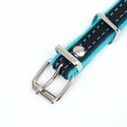 Ошейник кожаный с подкладом "Фетр", 1,6 см, ОШ 20-28 см, чёрный/голубой - фото 24478448