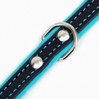 Ошейник кожаный с подкладом "Фетр", 1,6 см, ОШ 20-28 см, чёрный/голубой - фото 24478450