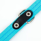 Ошейник кожаный с подкладом "Фетр", 1,6 см, ОШ 20-28 см, чёрный/голубой - фото 24478451