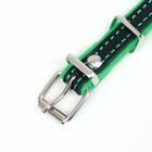 Ошейник кожаный с подкладом "Фетр", 1,6 см, ОШ 20-28 см, чёрный/зелёный - фото 23650922