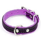 Ошейник кожаный с подкладом "Фетр", 1,6 см, ОШ 20-28 см, чёрный/фиолетовый - фото 24609399