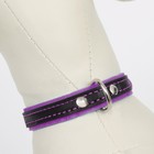 Ошейник кожаный с подкладом "Фетр", 1,6 см, ОШ 20-28 см, чёрный/фиолетовый - фото 24609408