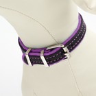 Ошейник кожаный с подкладом "Фетр", 1,6 см, ОШ 20-28 см, чёрный/фиолетовый - фото 24609401