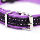 Ошейник кожаный с подкладом "Фетр", 1,6 см, ОШ 20-28 см, чёрный/фиолетовый - фото 24609402