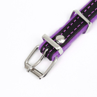 Ошейник кожаный с подкладом "Фетр", 1,6 см, ОШ 20-28 см, чёрный/фиолетовый - фото 24609403