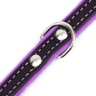 Ошейник кожаный с подкладом "Фетр", 1,6 см, ОШ 20-28 см, чёрный/фиолетовый - фото 24609405