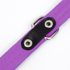 Ошейник кожаный с подкладом "Фетр", 1,6 см, ОШ 20-28 см, чёрный/фиолетовый - фото 24609406