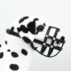 Намордник кожаный, размер 24 (американский коккер-спаниель, цвергшнауцер), чёрный - Фото 2