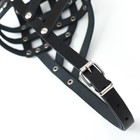 Намордник кожаный, размер 24 (американский коккер-спаниель, цвергшнауцер), чёрный - фото 23654923