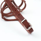 Намордник кожаный, размер 26 (английский коккер-спаниель,фокстерьер,лайка мелкая), коньячный - фото 25445697