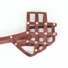 Намордник кожаный, размер 26 (английский коккер-спаниель,фокстерьер,лайка мелкая), коньячный - фото 25445701