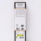 Дейция гибридная (Серия Патио) Люкс "Распберри Сандей", 1 шт, туба, Весна 2025 9581451 - фото 4441424