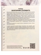 Золотарник "гибридный Страхленкрон", 1 шт, р-р I, Весна 2025 9582205 - фото 4337279