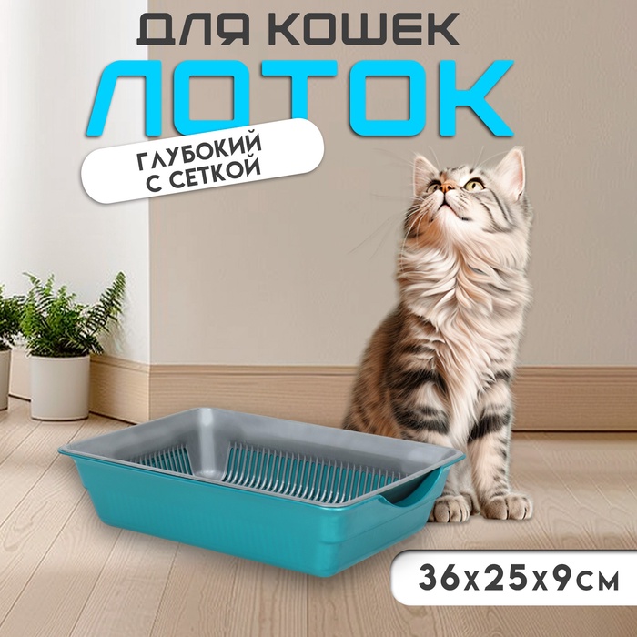 Туалет глубокий с сеткой 36×25×9 см, серый/бирюзовый - Фото 1