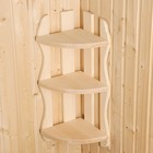 Полка для бани и сауны «Экстра», 65×26×26 см, липа, угловая, «Добропаровъ» - Фото 2