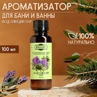 Ароматизатор для бани и ванны «Исцеляющий пар» натуральная, 100 мл «Добропаровъ» - Фото 1