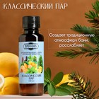 Ароматизатор для бани и ванны «Классический пар» натуральная, 100 мл «Добропаровъ» - Фото 2