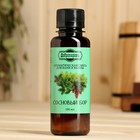 Ароматизатор для бани и ванны «Сосновый бор» натуральная, 100 мл «Добропаровъ» - Фото 4