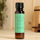 Ароматизатор для бани и ванны «Сосновый бор» натуральная, 100 мл «Добропаровъ» - Фото 5