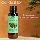 Ароматизатор для бани и ванны «Сосновый бор» натуральная, 100 мл «Добропаровъ» - Фото 2