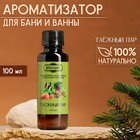 Ароматизатор для бани и ванны «Таёжный пар» натуральная, 100 мл «Добропаровъ» - Фото 1