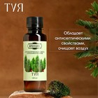 Ароматизатор для бани и ванны «Добропаровъ», туя, натуральный, 100 мл - Фото 2